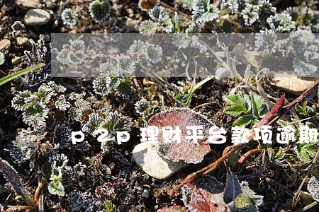 p2p理财平台款项逾期怎么办
