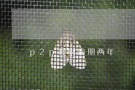 p2p理财逾期两年 p2p理财逾期两年