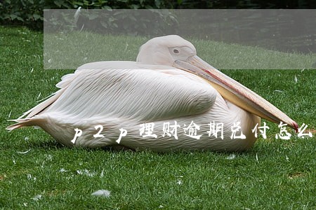 p2p理财逾期兑付怎么办 p2p理财逾期兑付怎么办