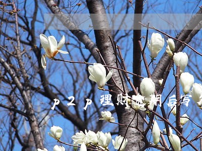 p2p理财逾期后写欠条 p2p理财逾期后写欠条