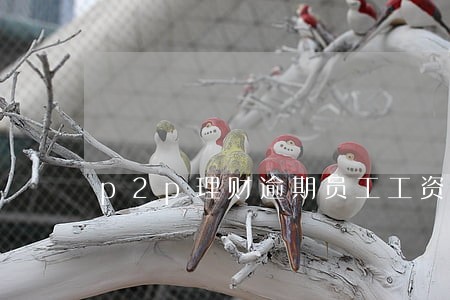 p2p理财逾期员工工资发不上 p2p理财逾期员工工资发不上