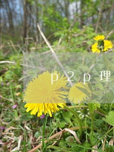 p2p理财逾期国家不管