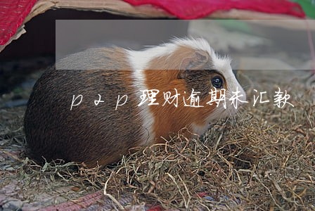 p2p理财逾期未汇款 p2p理财逾期未汇款