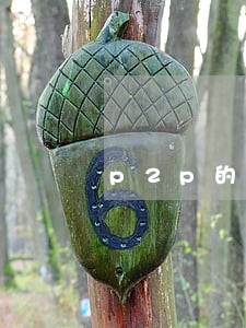 p2p的标逾期了一个月怎么办
