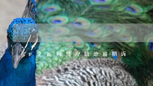 p2p网贷户籍地逾期诉 p2p网贷户籍地逾期诉