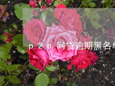 p2p网贷逾期黑名单公布 p2p网贷逾期黑名单公布