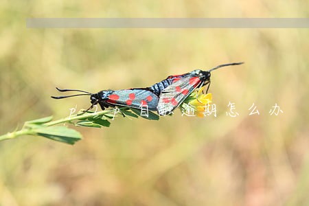 p2p自融逾期怎么办