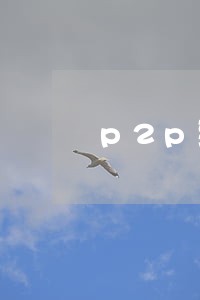p2p致逾期客户的一封信 p2p致逾期客户的一封信