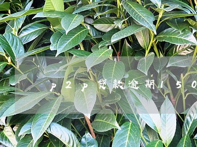 p2p贷款逾期150天啥后果