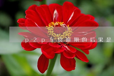 p2p车贷逾期的后果是什么 p2p车贷逾期的后果是什么