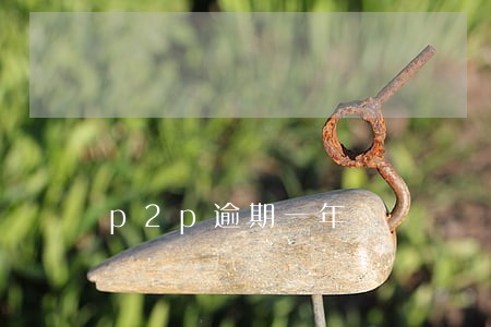 p2p逾期一年