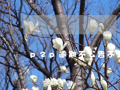 p2p逾期不公告不立案 p2p逾期不公告不立案