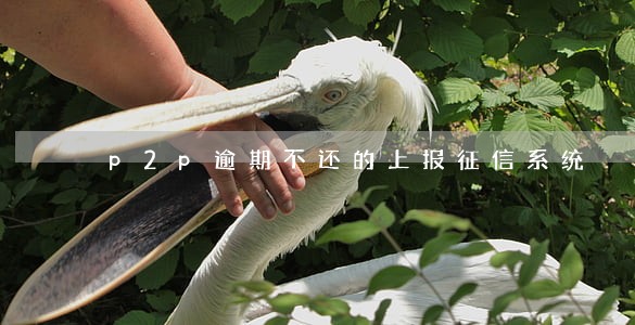 p2p逾期不还的上报征信系统 p2p逾期不还的上报征信系统
