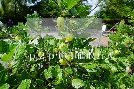 p2p逾期催收方式 p2p逾期催收方式