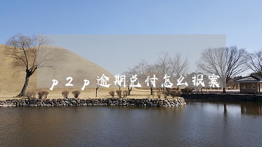 p2p逾期兑付怎么报案 p2p逾期兑付怎么报案
