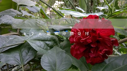 p2p逾期分期兑付