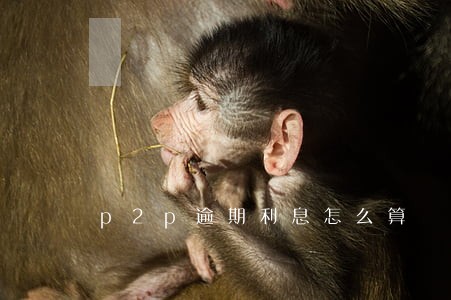 p2p逾期利息怎么算 p2p逾期利息怎么算