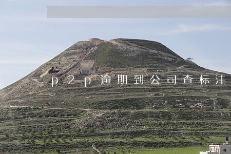 p2p逾期到公司查标注意 p2p逾期到公司查标注意