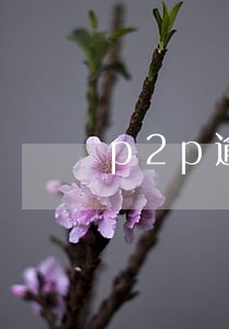 p2p逾期只想偿还本金 p2p逾期只想偿还本金