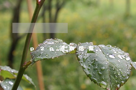 p2p逾期后果 p2p逾期后果