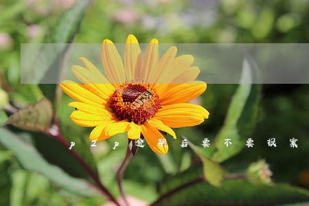 p2p逾期后要不要报案 p2p逾期后要不要报案