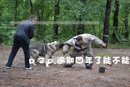 p2p逾期四年了能不能只还本金 p2p逾期四年了能不能只还本金