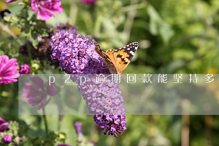 p2p逾期回款能坚持多长时间 p2p逾期回款能坚持多长时间