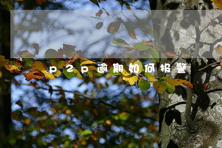 p2p逾期如何报警 p2p逾期如何报警