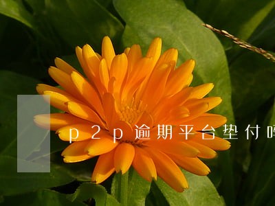 p2p逾期平台垫付吗 p2p逾期平台垫付吗