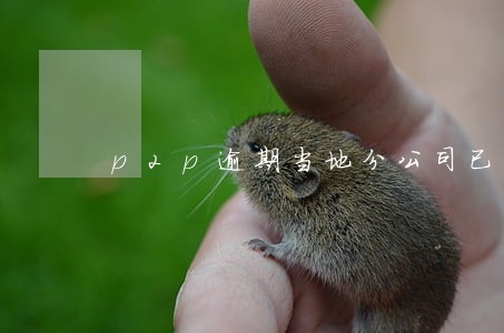 p2p逾期当地分公司已经注销 p2p逾期当地分公司已经注销
