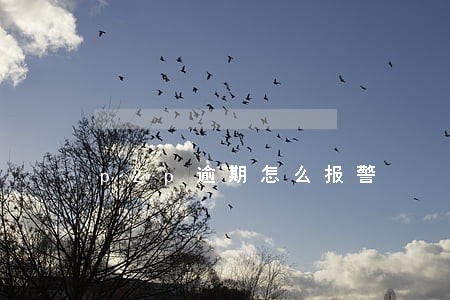 p2p逾期怎么报警 p2p逾期怎么报警