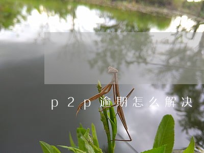 p2p逾期怎么解决 p2p逾期怎么解决