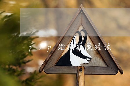 p2p逾期报案经侦 p2p逾期报案经侦