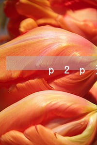 p2p逾期排行榜凤凰金融 p2p逾期排行榜凤凰金融