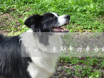 p2p逾期率对平台的影响