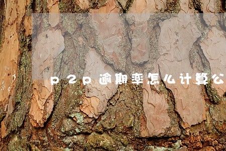 p2p逾期率怎么计算公式 p2p逾期率怎么计算公式
