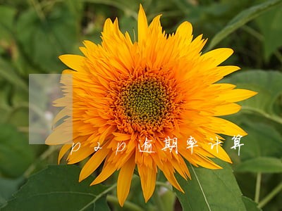 p2p逾期率计算 p2p逾期率计算