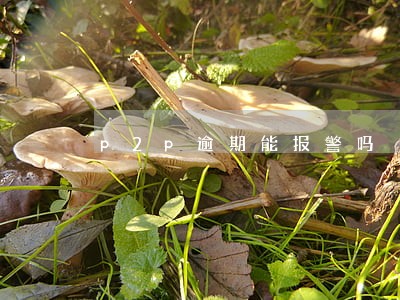 p2p逾期能报警吗 p2p逾期能报警吗