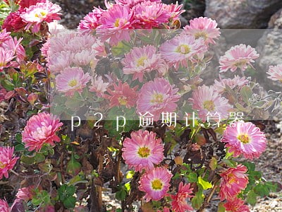 p2p逾期计算器 p2p逾期计算器