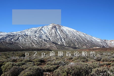p2p逾期诉讼赔偿 p2p逾期诉讼赔偿