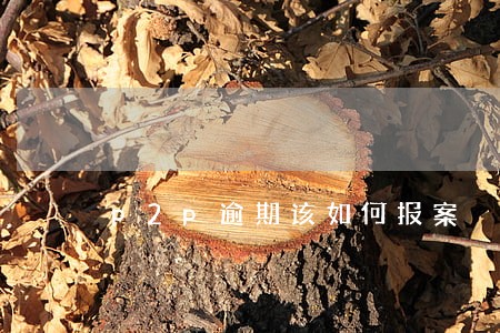 p2p逾期该如何报案 p2p逾期该如何报案