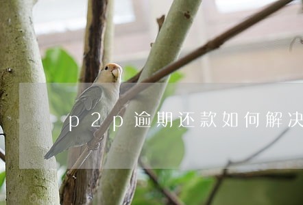 p2p逾期还款如何解决 p2p逾期还款如何解决