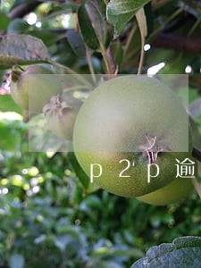 p2p逾期金额多了好吗 p2p逾期金额多了好吗