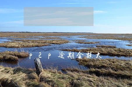 p2p逾期金额大 p2p逾期金额大