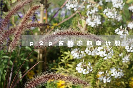p2p金额逾期率计算 p2p金额逾期率计算