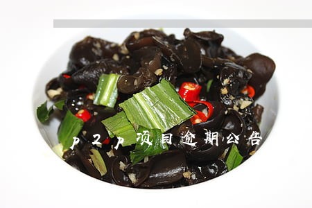 p2p项目逾期公告 p2p项目逾期公告