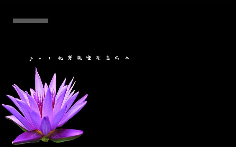 pos机贷款逾期怎么办 pos机贷款逾期怎么办