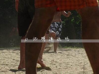 p证明违法吗 p证明违法吗