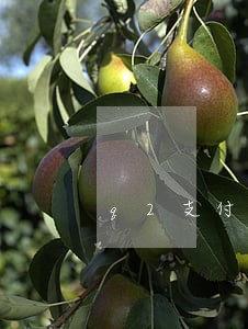 q2支付信用卡逾期 q2支付信用卡逾期