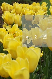 q2签证逾期中国哪里能帮忙 q2签证逾期中国哪里能帮忙